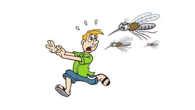 为什么有些人特别“招蚊子”？