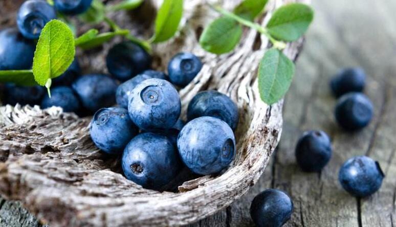每天吃蓝莓有助降血压
