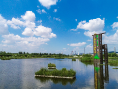 潺潺流水润城乡 ——薛城区打造全域现代生态水系攻坚侧记