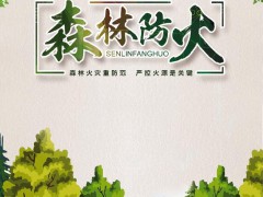 【公益广告】森林防火