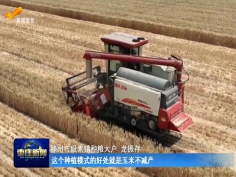 滕州：推进1.8万亩大豆玉米复合种植