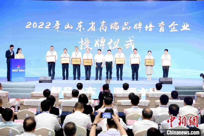 2022年山东省“中国品牌日”活动13日在“江北水城”聊城举办。 孙婷婷 摄