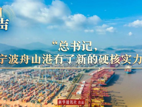回声｜“总书记，宁波舟山港有了新的硬核实力”
